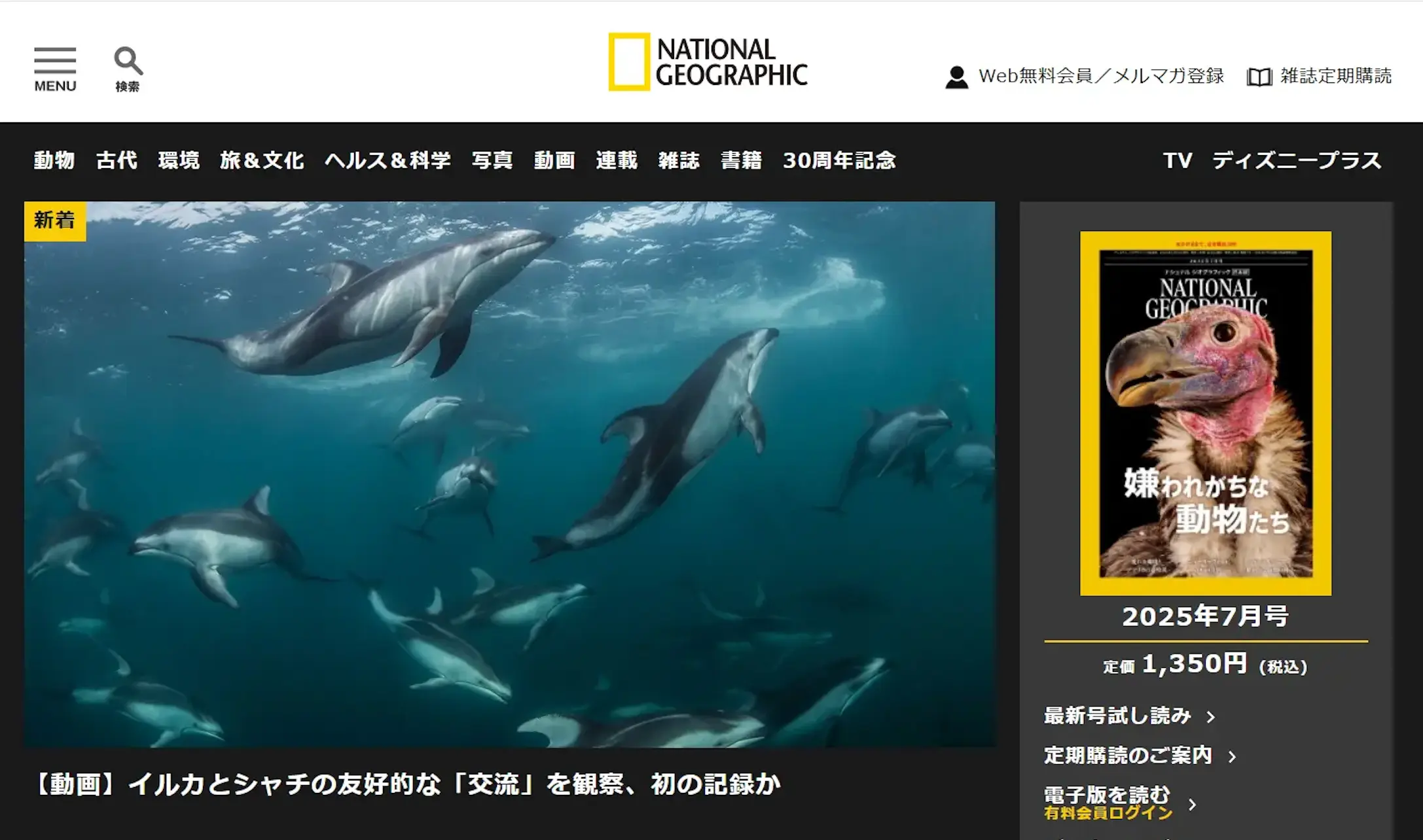 ナショナルジオグラフィック