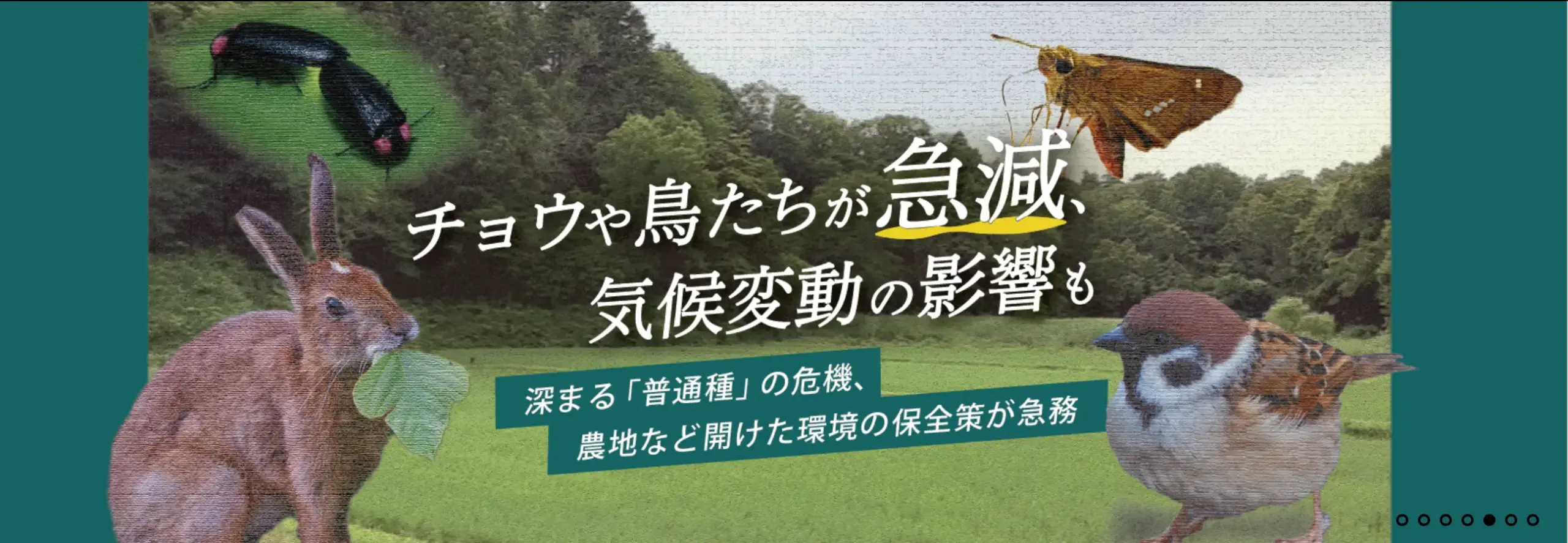 日本自然保護協会(NACSJ)