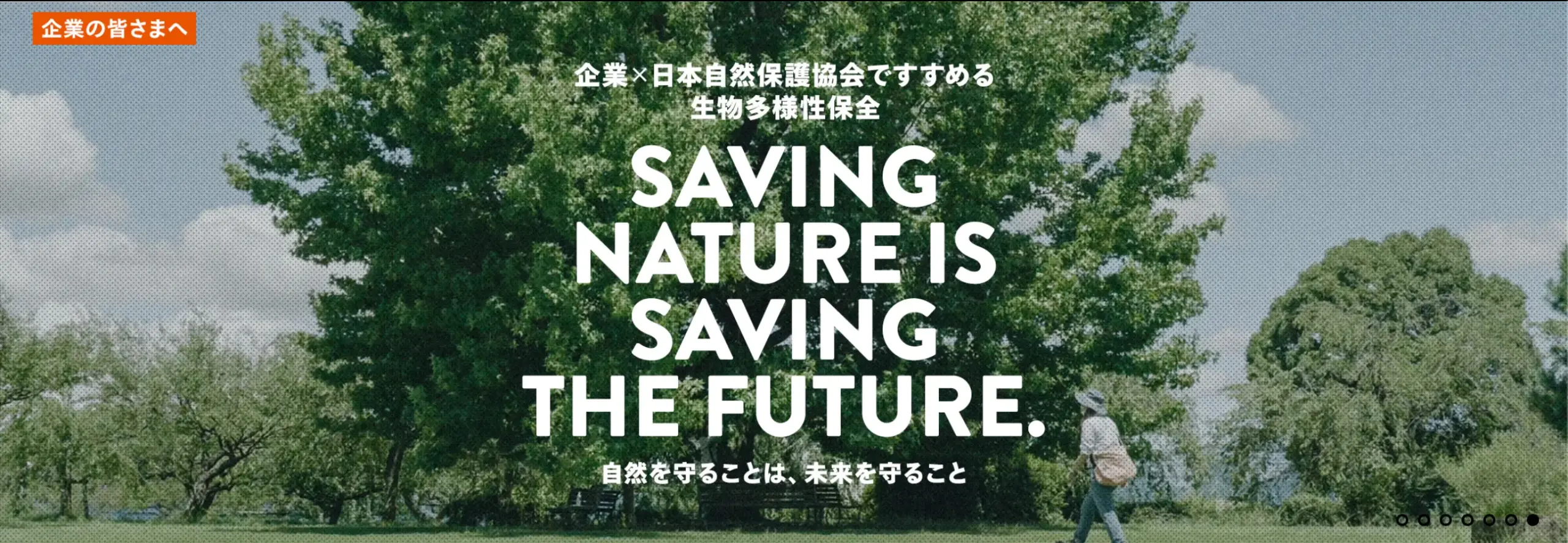 日本自然保護協会(NACSJ)