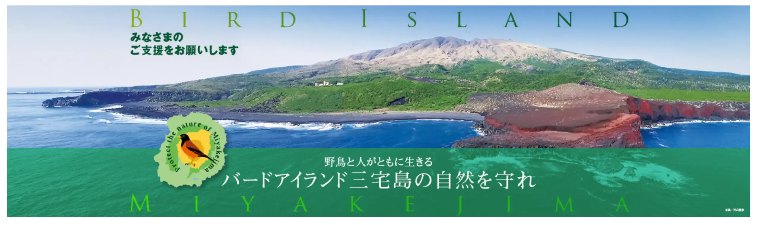 日本野鳥の会