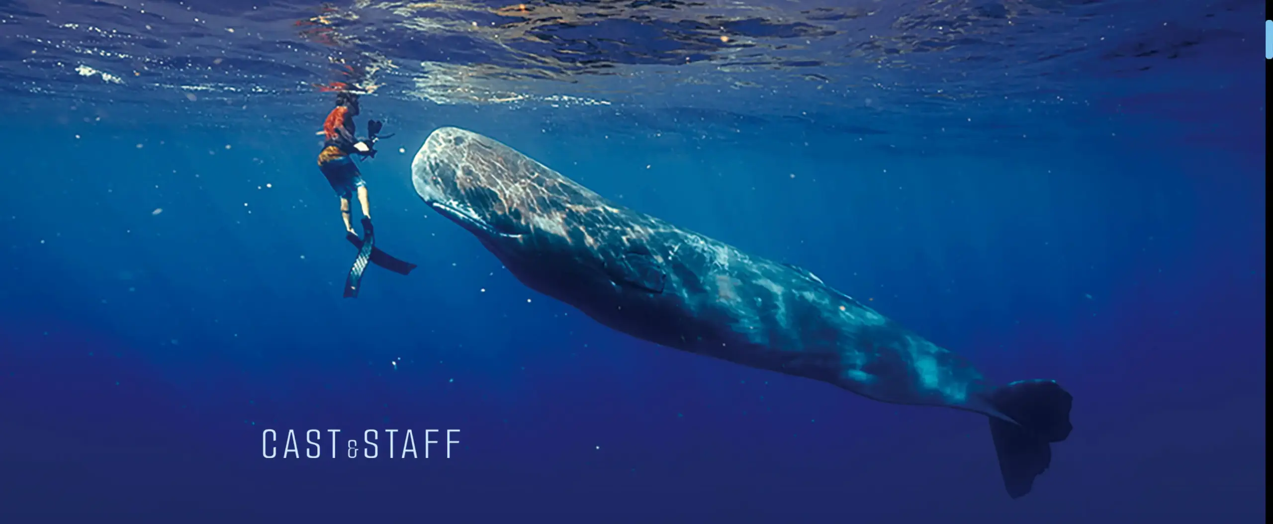 パトリックとクジラ