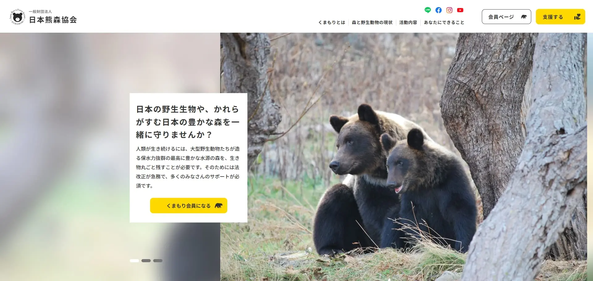 No.005  日本熊森協会