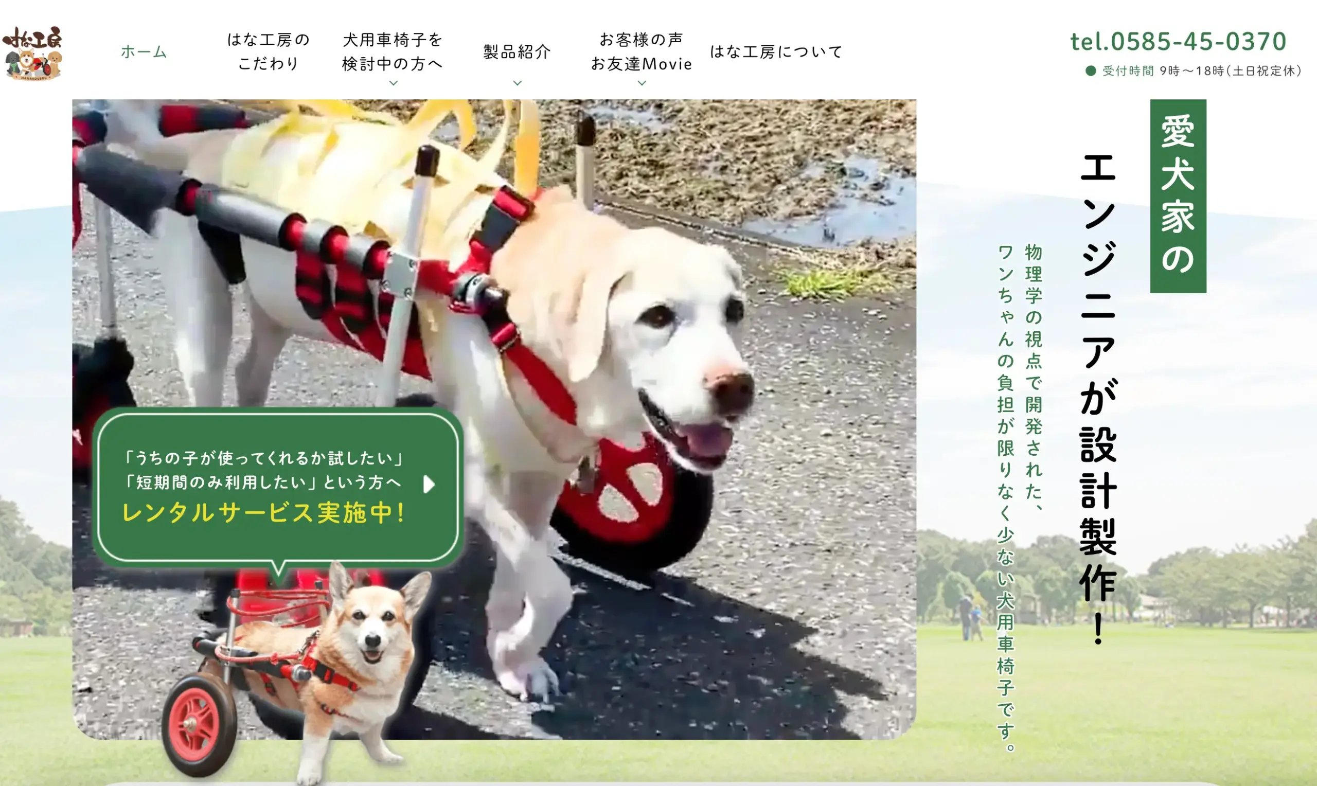 No.024   犬用車椅子 はな工房